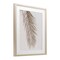 Stupell Industries Falling Neutral Brown Palm Framed Print Under Glass, design by Sisi and Seb